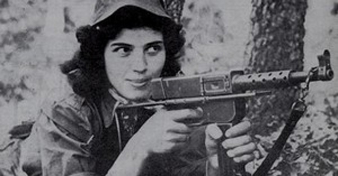 Algerian movies section